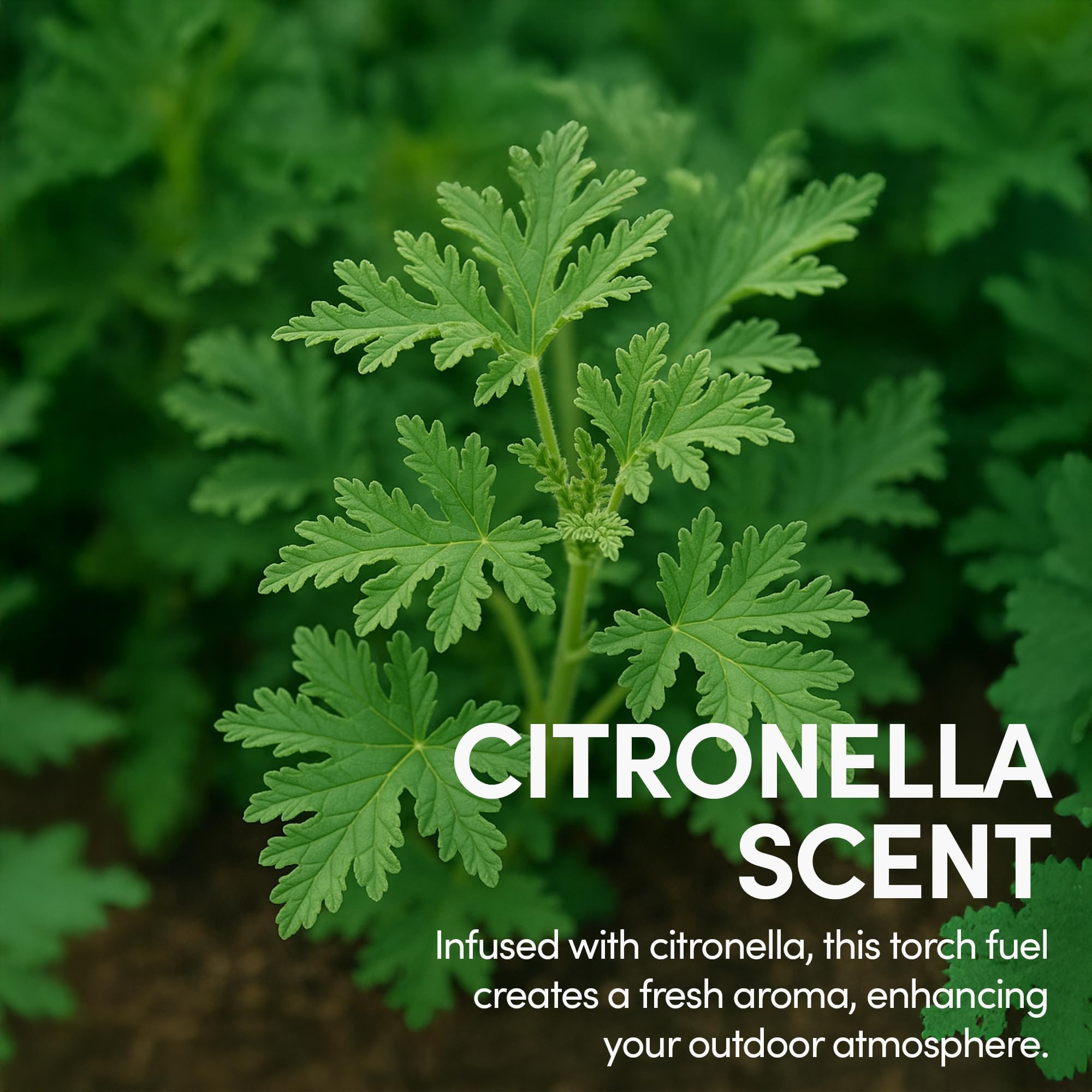 Citronella-Scented Torch Fuel